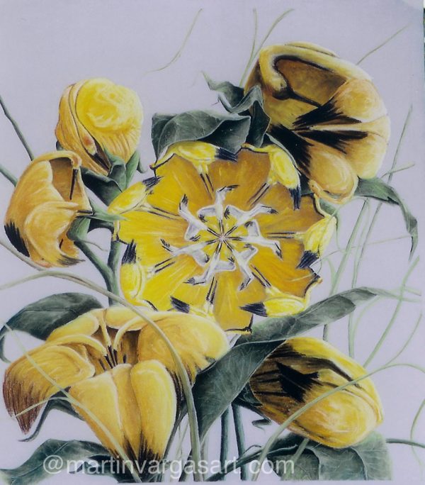 30” x 40” Pastel On Hahnemuhl Pastel Paper - Original In The Collection Of The Owner