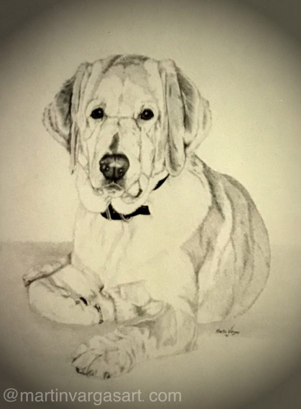11.5” x 14” charcoal - In The Collection Of Owner